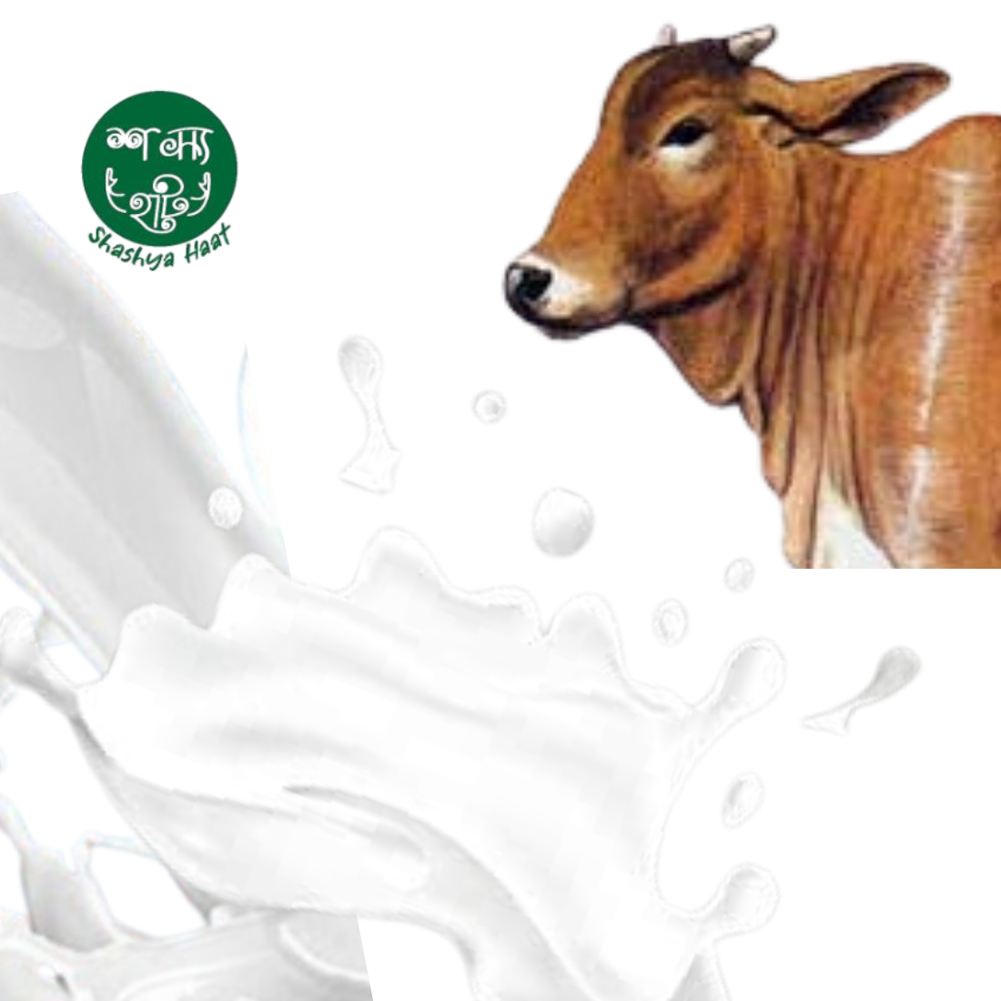 দেশি গরুর দুধ